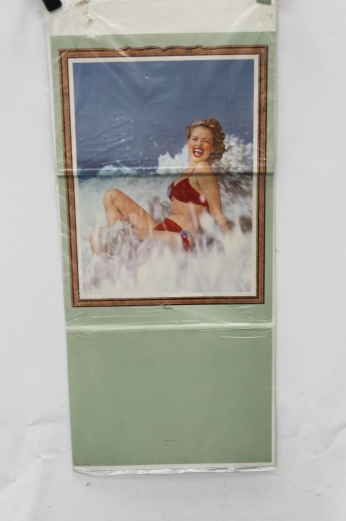 Vintage Pin Up Girl Picture: Vintage Pin Up Girl Picture Has the year 1949 on it.