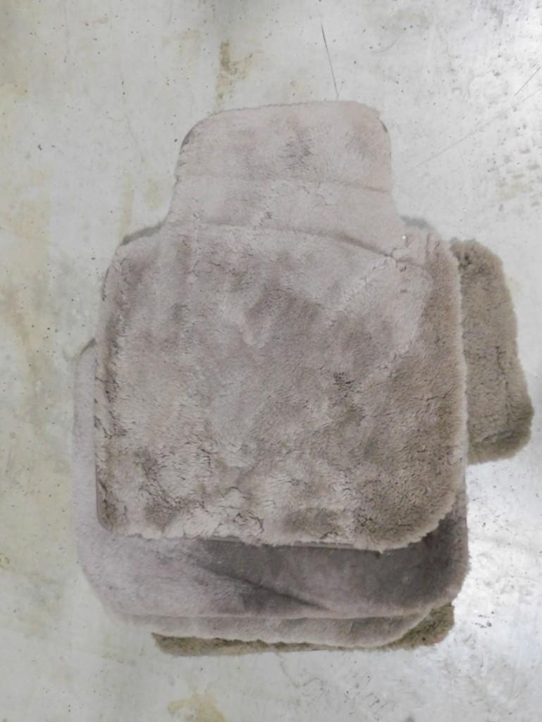 Full Set Plush Floor Mats: Full Set Plush Floor Mats , unknown brand Because of the current covid 19 situation, pick up times are by appointment only. Pick up for this auction will be Feb 27 and 28 during the auction or Monday,