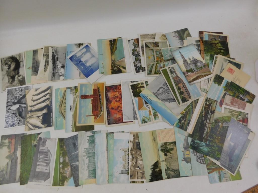 Large Lot of Vintage Postcards including Animals, (1 of 9)