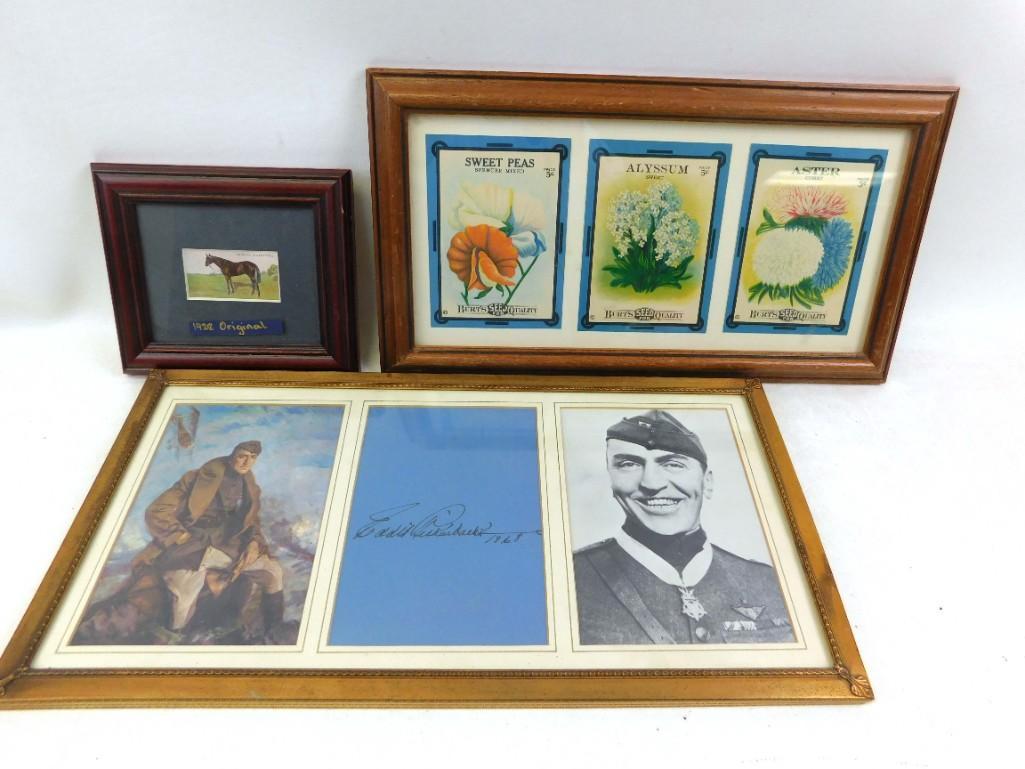 Vintage Framed Illustrations / Pictures, Burts Seeds, (1 of 5)
