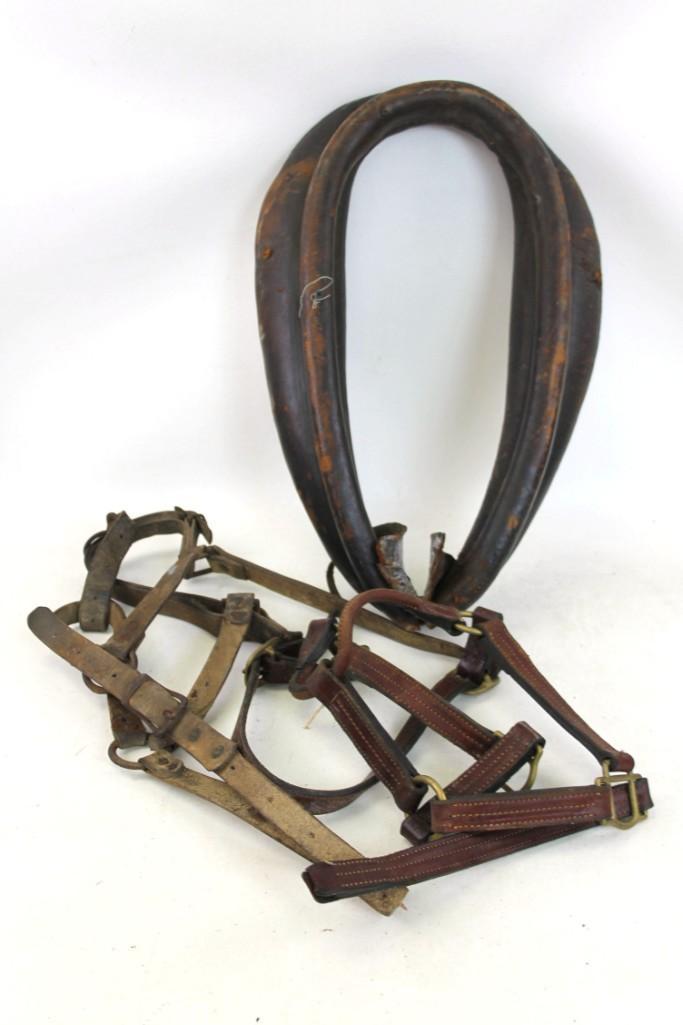 Horse Tack Lot incl Horse Collar and Halters (1 of 7)