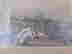 item-105216142=2
