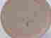 item-105489498=9