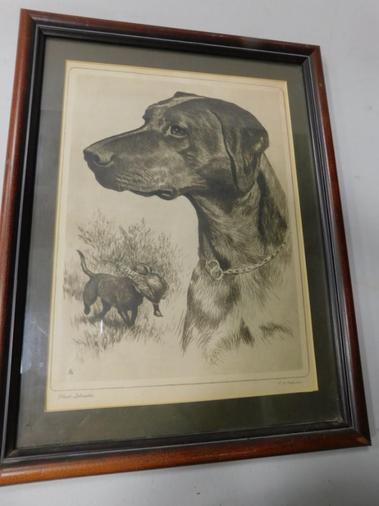 Framed RH Palenske Black Labrador Print Measures about (1 of 2)