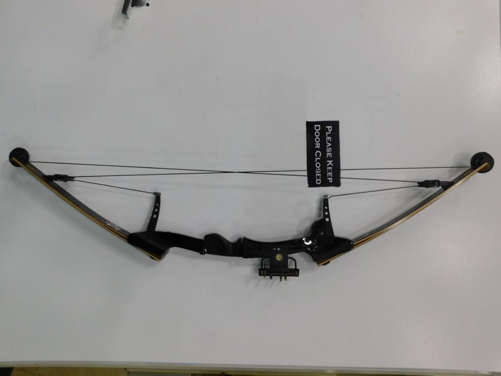 Wing Presentation Hunter Compound Bow (1 of 5)