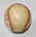 item-121102434=3