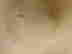 item-124948797=4