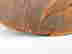 item-129254129=2