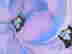 item-131298283=2
