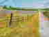 item-131298317=2