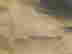 item-131298371=3