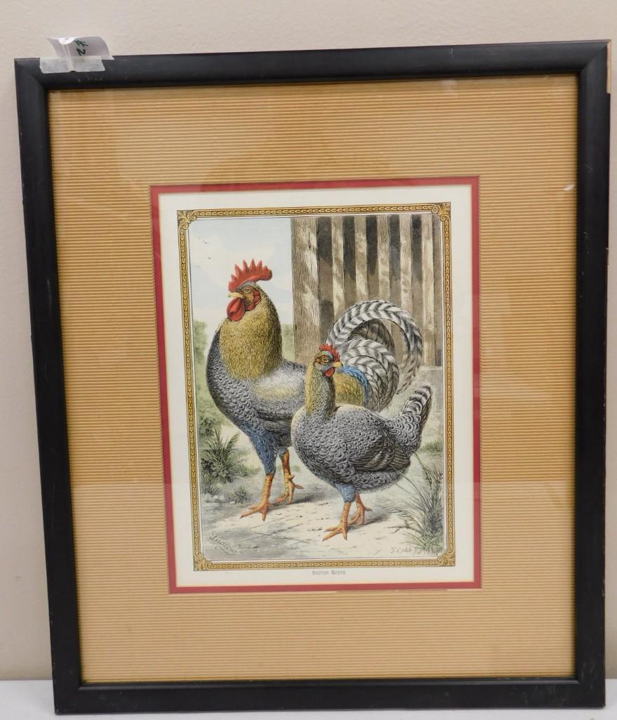 Joseph William Ludlow British Animal Artist Colored Engraving (1 of 5)