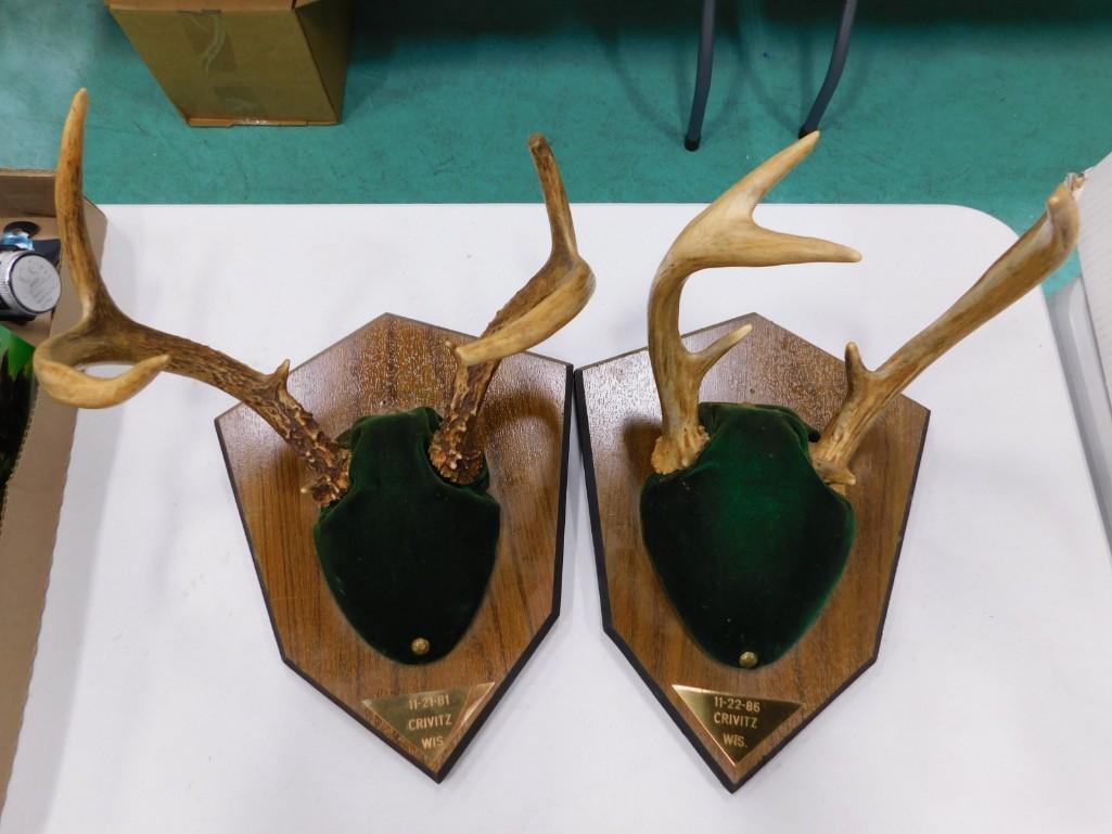 2 Mounted Sets of Antlers (1 of 2)