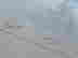 item-131927406=8