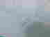 item-131927406=9