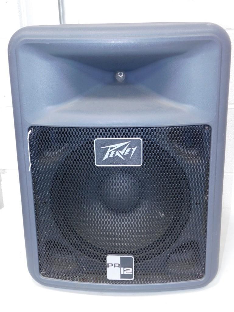 Peavey PR12 Passive Speaker (1 of 4)
