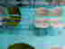 item-137450231=3