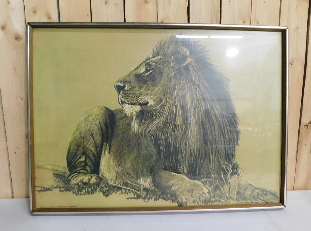 Framed Print of a Lion Hans Pluetcke 21" x 29": Framed Print of a Lion Hans Pluetcke 21" x 29"