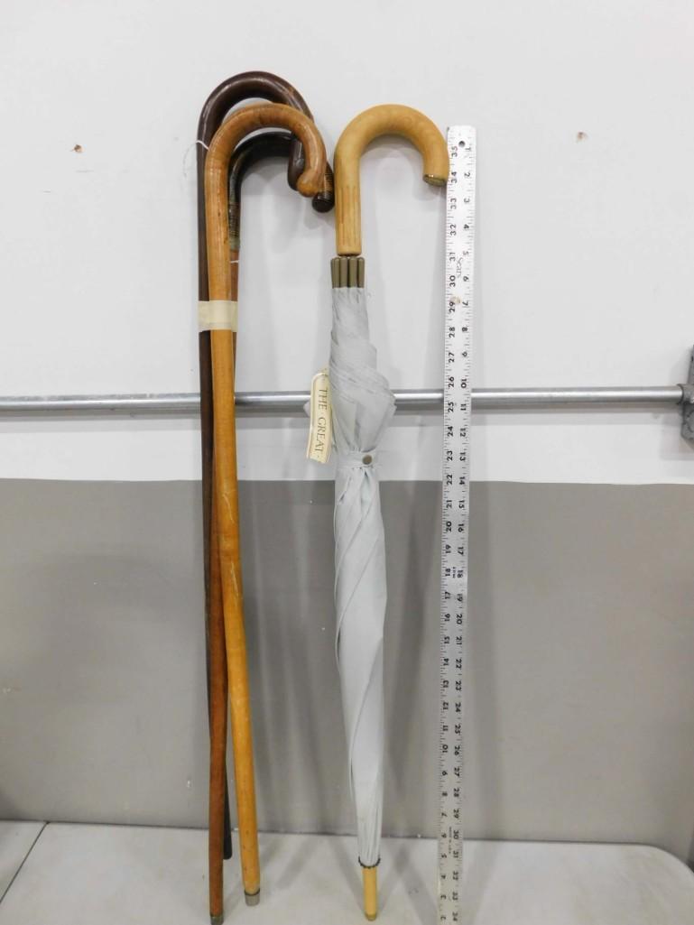 3 Canes or Walking Sticks and an Umbrella (1 of 4)
