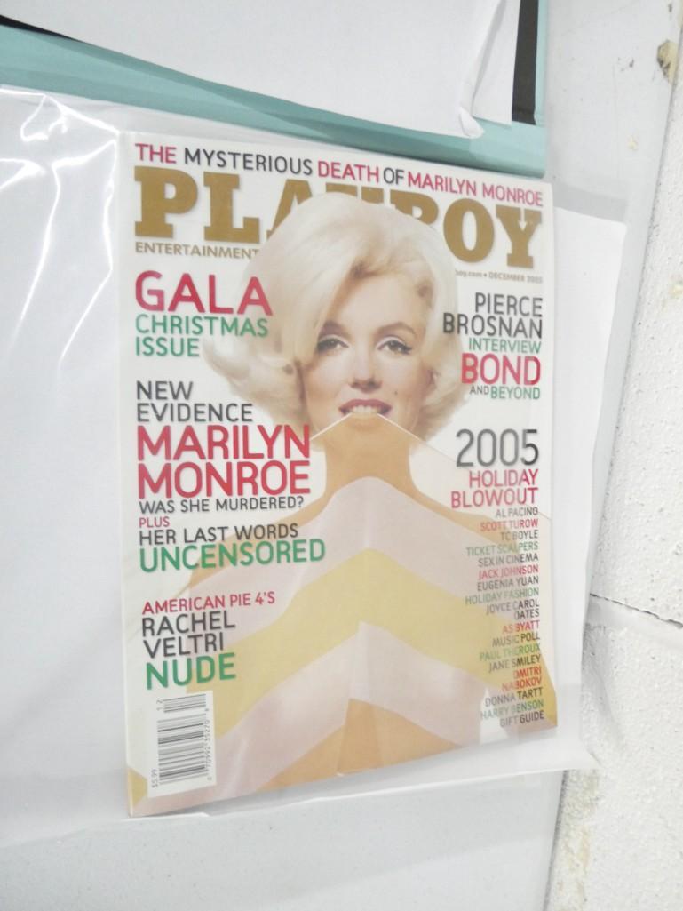 Marilyn Monroe / Pamela Anderson / Jenny McCarthy Lot (1 of 12)