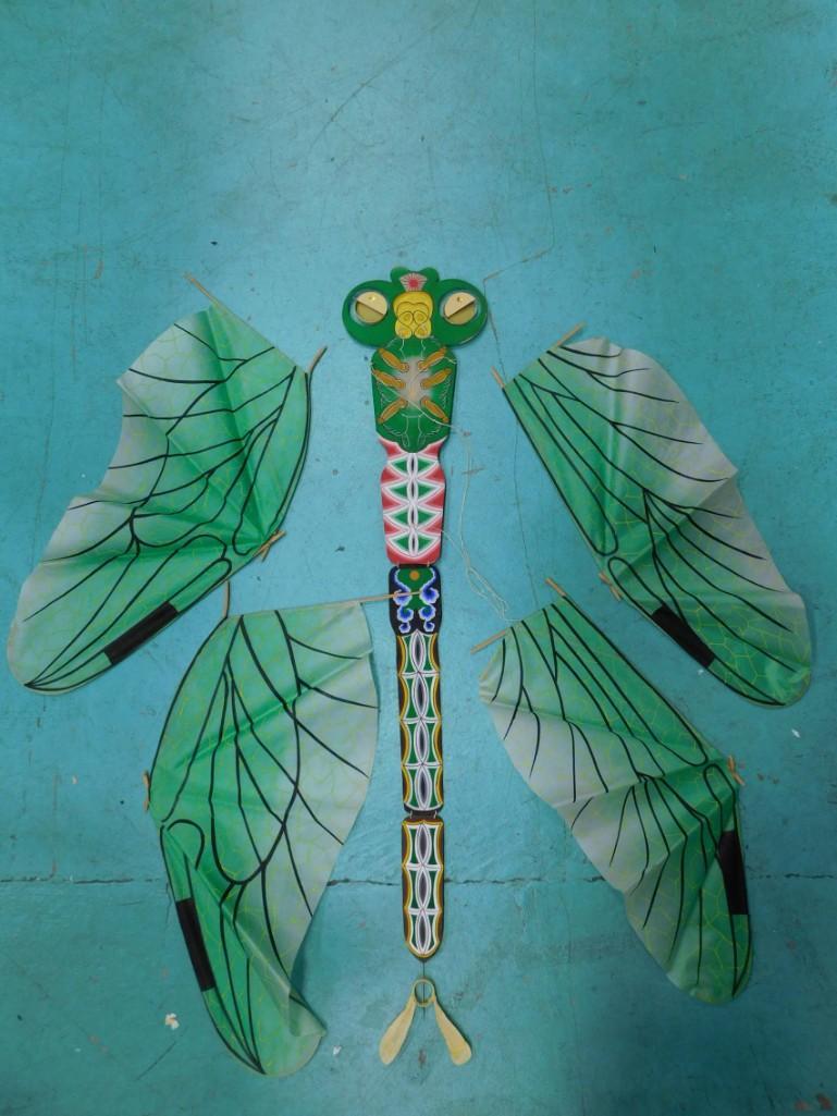 Dragon Fly Kite: Dragon Fly Kite . Includes everything that you see in the pictures