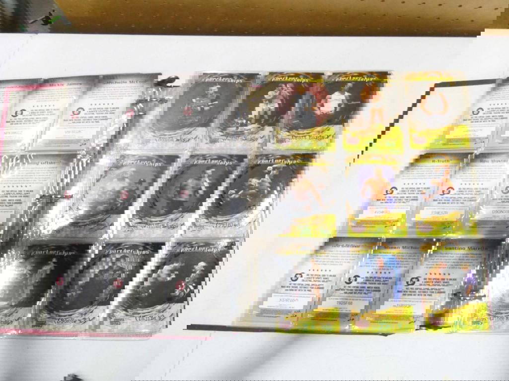 Wwe Wwf Wrestler / Wrestling Trading Cards Huge Lot In Binder Auction