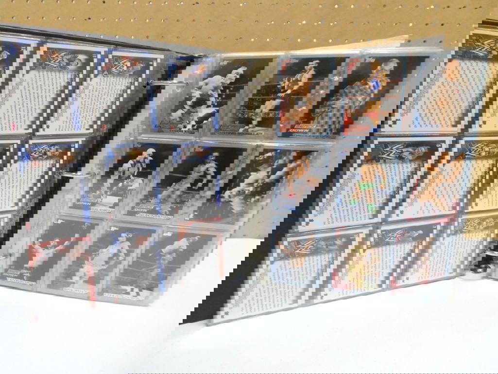 Wwe Wwf Wrestler Wrestling Trading Cards Huge Lot In Binder Auction