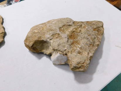 Fossil: Fossil