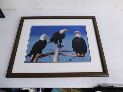 Thomas D. Mangelsen Signed Print of 3 eagles - Measures roughly 22x28": Thomas D. Mangelsen Signed Print of 3 eagles - Measures roughly 22x28" - looks like the middle eagle is telling the eagle on the right how it is.