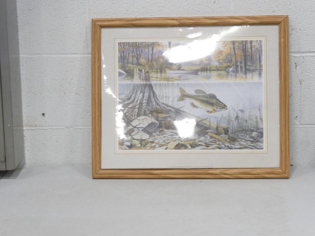 Ron Jenkins Trout Underwater Framed Print - Measures roughly 18x22" (1 of 5)