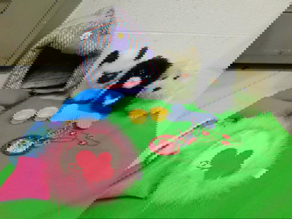 American Girl Cat, Dog, Doghouse Bed, & Accessories Lot Auction