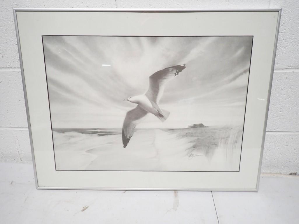 Framed Print of a Seagull Pencil Signed Joseph C Cason 27.5" x 21": Framed Print of a Seagull Pencil Signed Joseph C Cason 27.5" x 21"