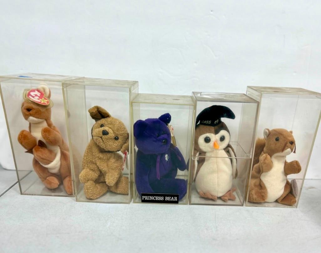 5 Ty Beanie Babies in Acrylic Cases incl Pouch the Kangaroo, Tuffy Dog, Princess Bear,: Lot of 5 Ty Beanie Babies in Acrylic Cases incl Pouch the Kangaroo, Tuffy Dog, Princess Bear, Nuts the Squirrel, Wise the Owl
