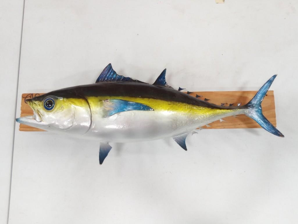 Wall Mount Plaster Fish Mounted on Wood: Wall Mount Plaster Fish Mounted on Wood