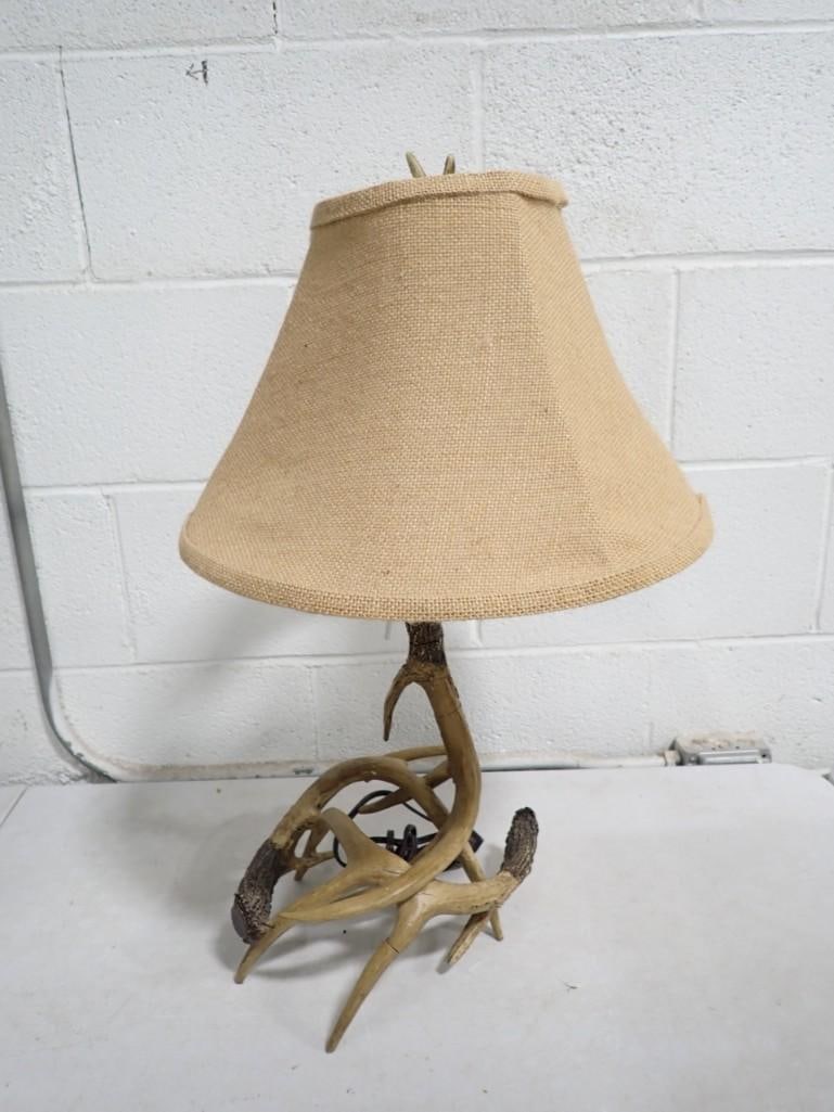 Resin Antler Lamp (1 of 6)