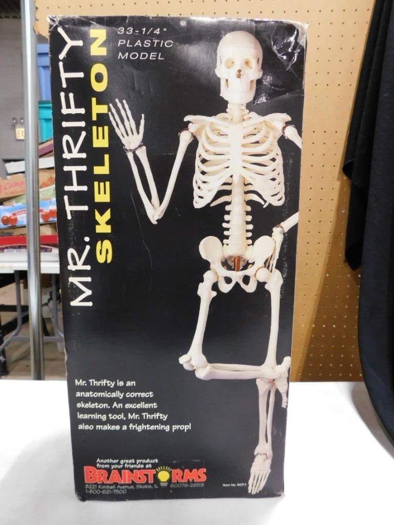 Mr Thrifty Plastic Skeleton Halloween Decoration in Original Box (1 of 6)