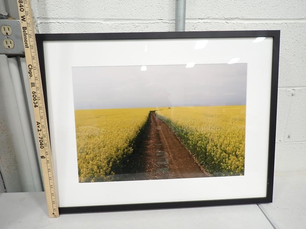 Framed Print Rural Scene 27" x 20" (1 of 3)