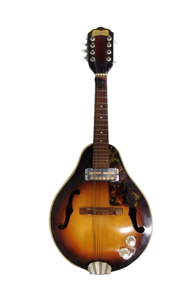 Samick エレクトリックマンドリン Samick エレクトリックマンドリン