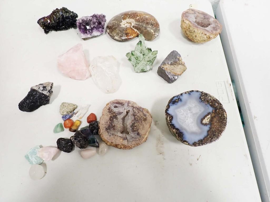 Ammonite Fossil, Geodes, Crystals, Minerals, STones, Rocks Lot (1 of 6)