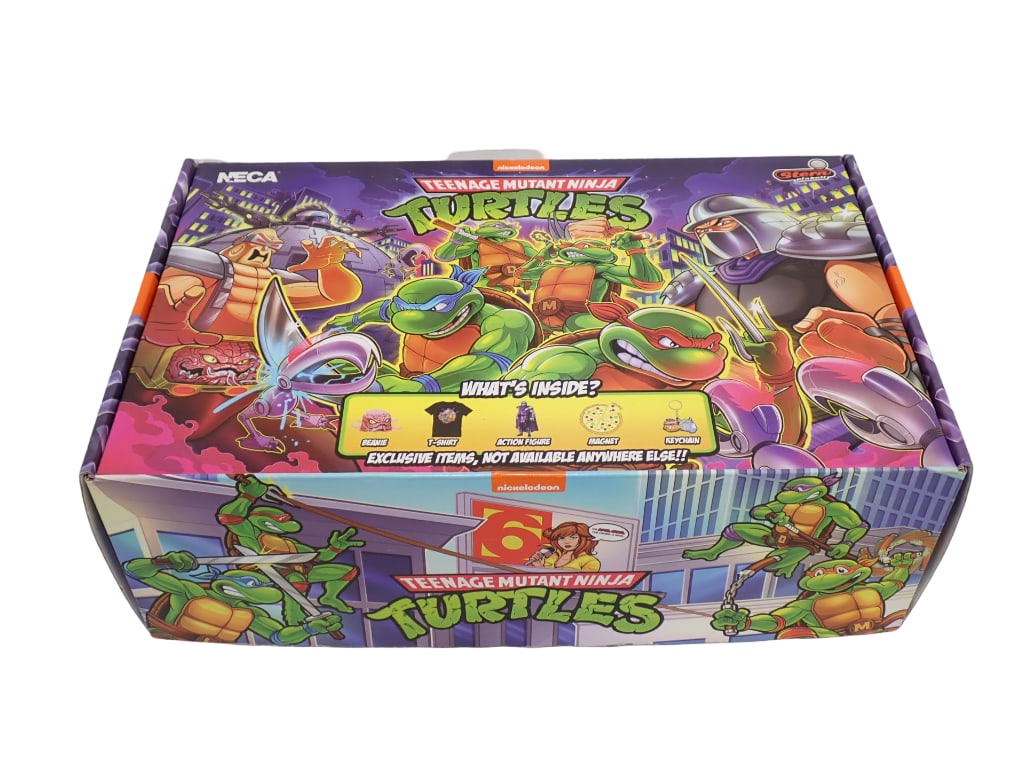 Teenage Mutant Ninja Turtles Stern Pinball Appearance Crate by Neca in Original Box TMNT (1 of 11)