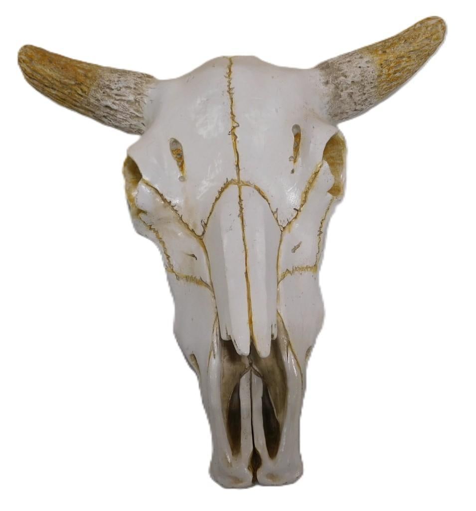 Faux Animal Skull Wall Hanging (1 of 4)
