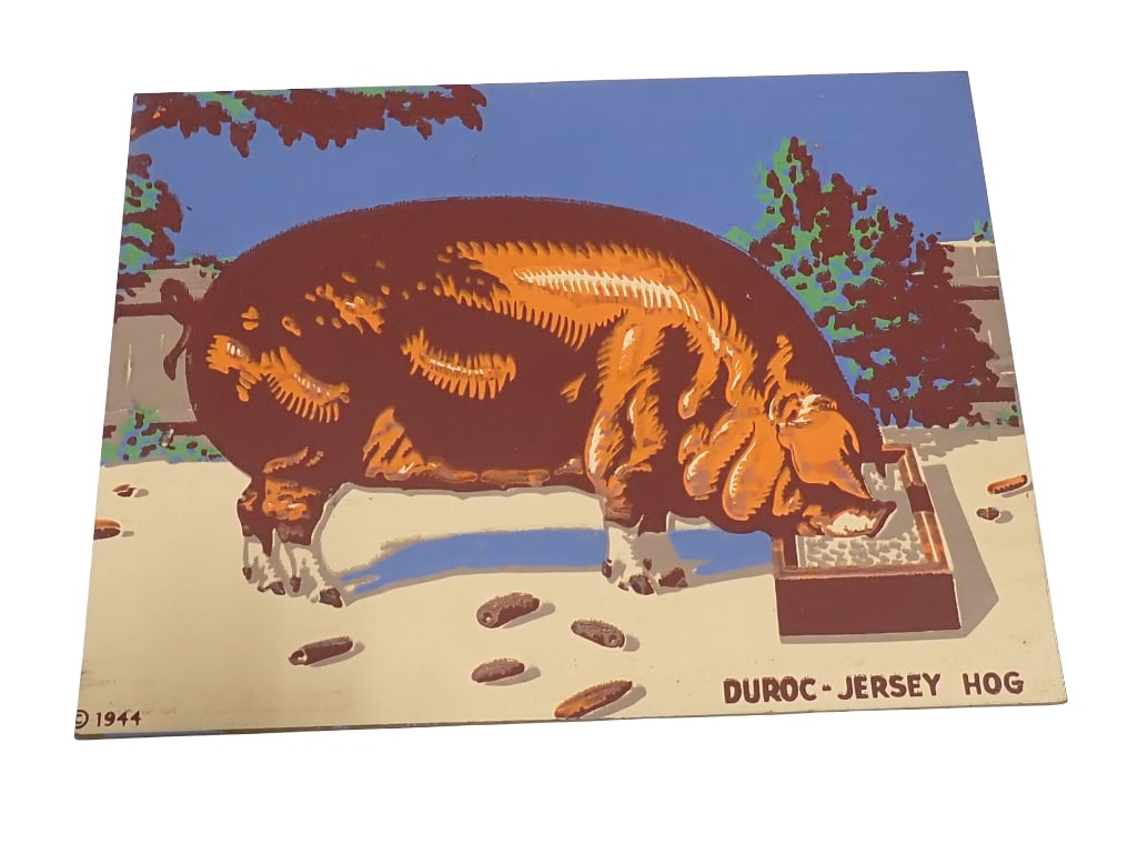 Vintage Duroc Jersey Hog and Guernsey Cow Double Sided Print Dated 1944 (1 of 2)