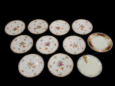 Group of German Porcelain; Set of Nine Saxe Porcelain Plates with Floral Decoration, one Thomas Sevr