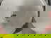 item-208763146=8