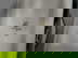 item-208763146=9