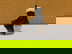 item-209098766=3