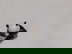 item-209098766=5