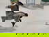 item-209498895=5