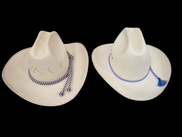 Stetson Cowboy Hat and a Morcon Cowboy Hat