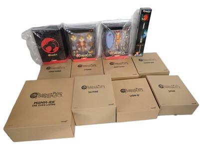 New in Package Thunder Cats Action Figures and Accessories including Lion-O, Snarf, Slithe, Tygra,: New in Package Thunder Cats Action Figures and Accessories including Lion-O, Snarf, Slithe, Tygra, etc. 12 total All pictures are considered part of the description and should be examined carefully by